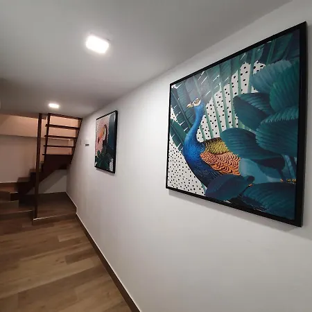 Ca'n Roser Villa